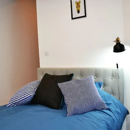 Apartment An Authentic Experience With In The Center Poitiers