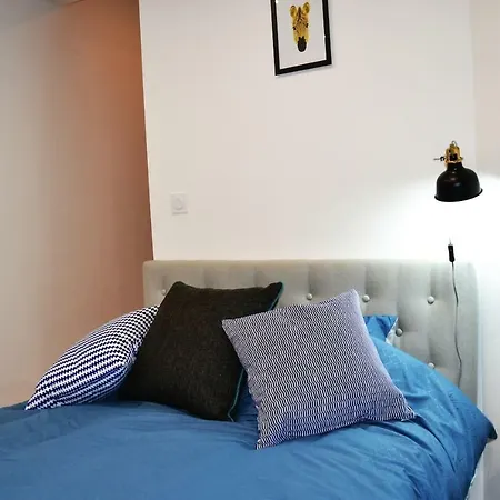 公寓 An Authentic Experience With In The Center 普瓦捷